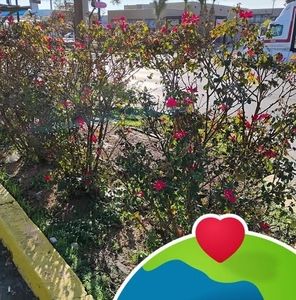 Meet your Posher, Bianca